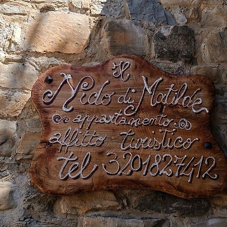 Il Nido Di Matilde _Monolocale Design Sul Fiume_ Daire Rossena Dış mekan fotoğraf