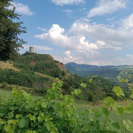 Il Nido Di Matilde _Monolocale Design Sul Fiume_ Daire Rossena Dış mekan fotoğraf