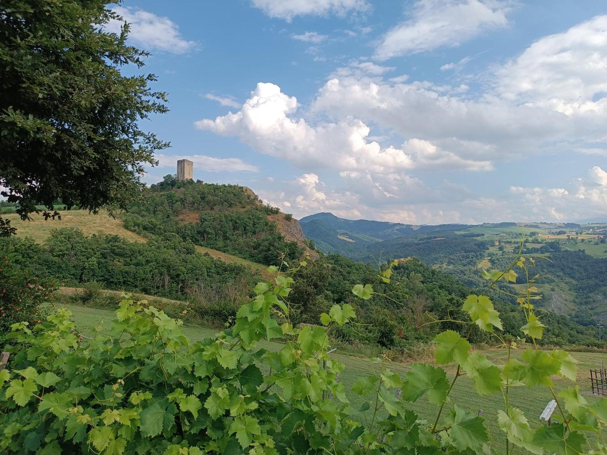 Il Nido Di Matilde _Monolocale Design Sul Fiume_ Daire Rossena Dış mekan fotoğraf